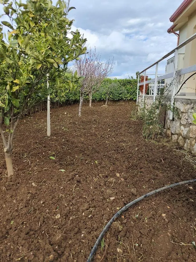 Borgo Aranci - Appartamento In Villa Rosa - 16B Castellammare del Golfo Italy